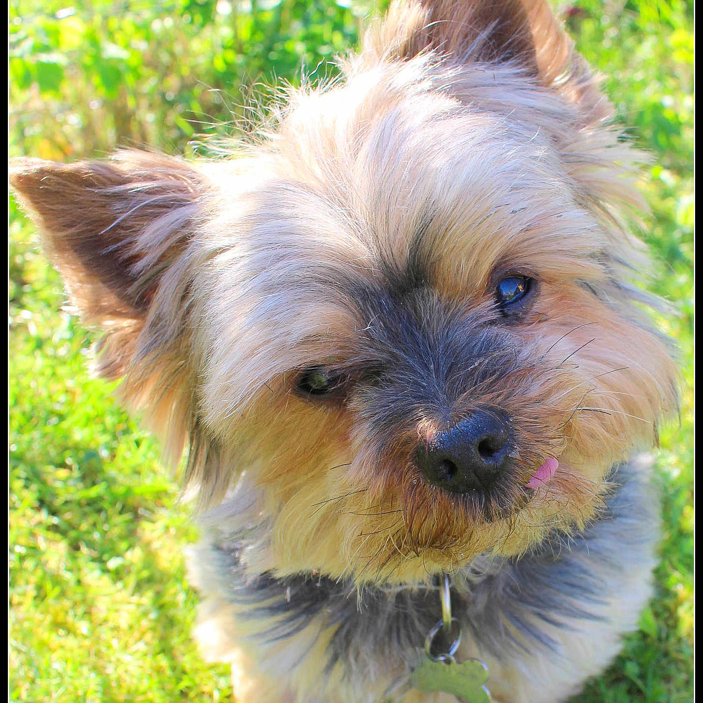 Winnie