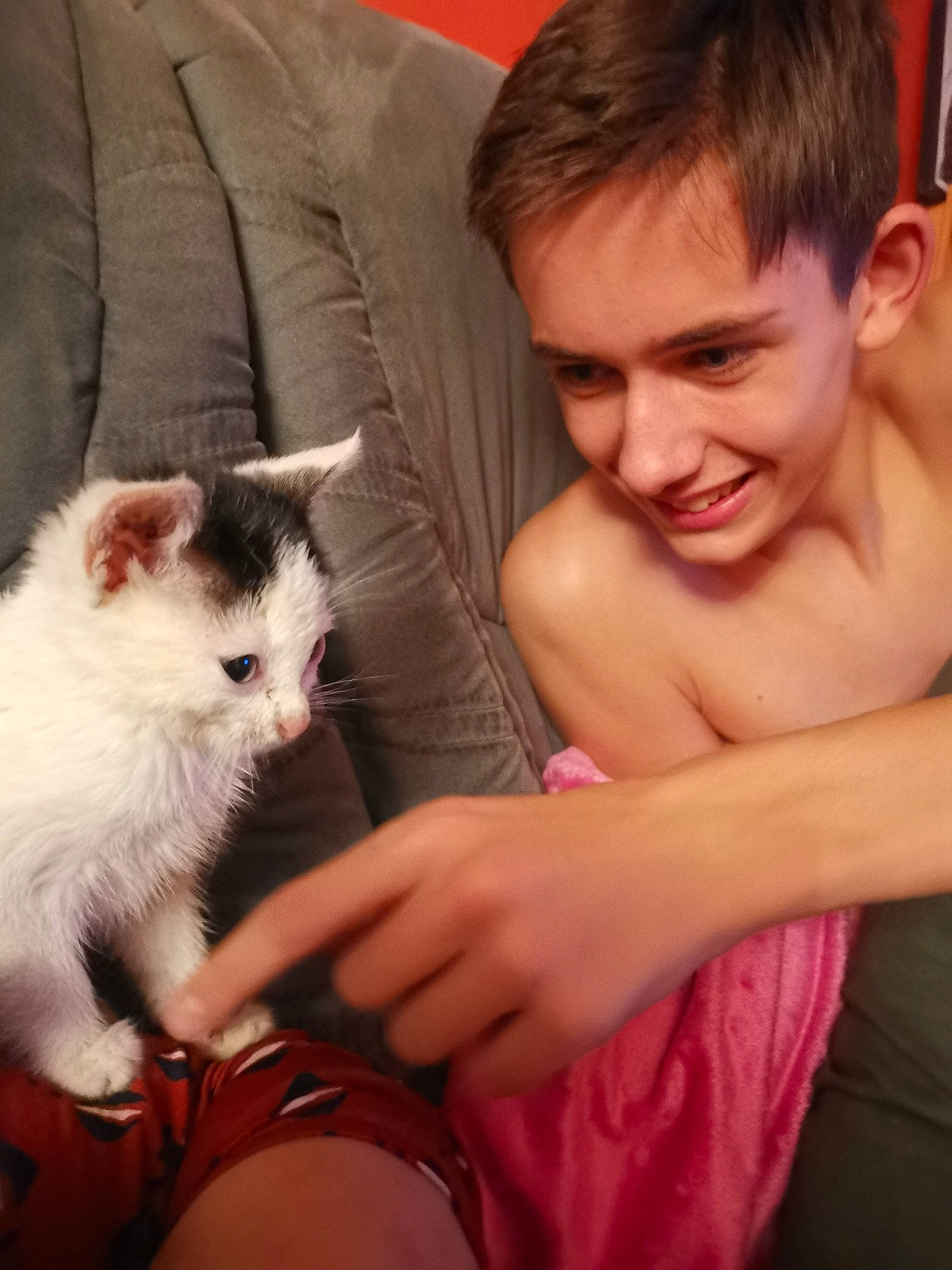 Leyla a rejoint le concours — aidez-le/la à gagner de superbes lots ! carnivore, cat, child, comfort, companion_dog, elbow, eye, facial_expression, fawn, felidae, finger, gesture, happy, head, iris, lap, skin, small_to_medium_sized_cats, smile, whiskers