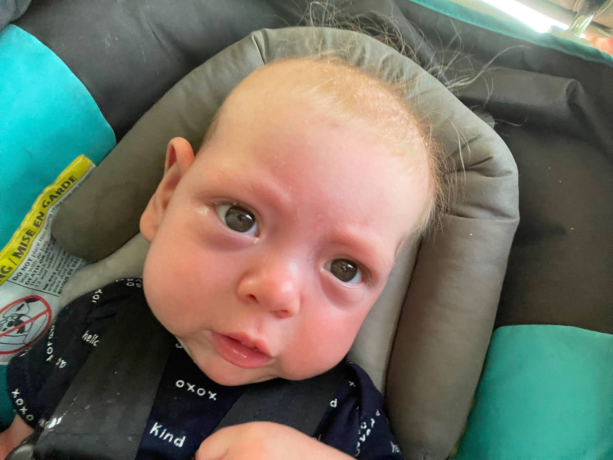 Brandon joined the competition — help win amazing prizes! auto_part, baby, baby_in_car_seat, baby_products, baby_toddler_clothing, car_seat, cheek, child, comfort, eye, finger, fun, head, nose, person, seat_belt, sitting, skin, smile, thumb