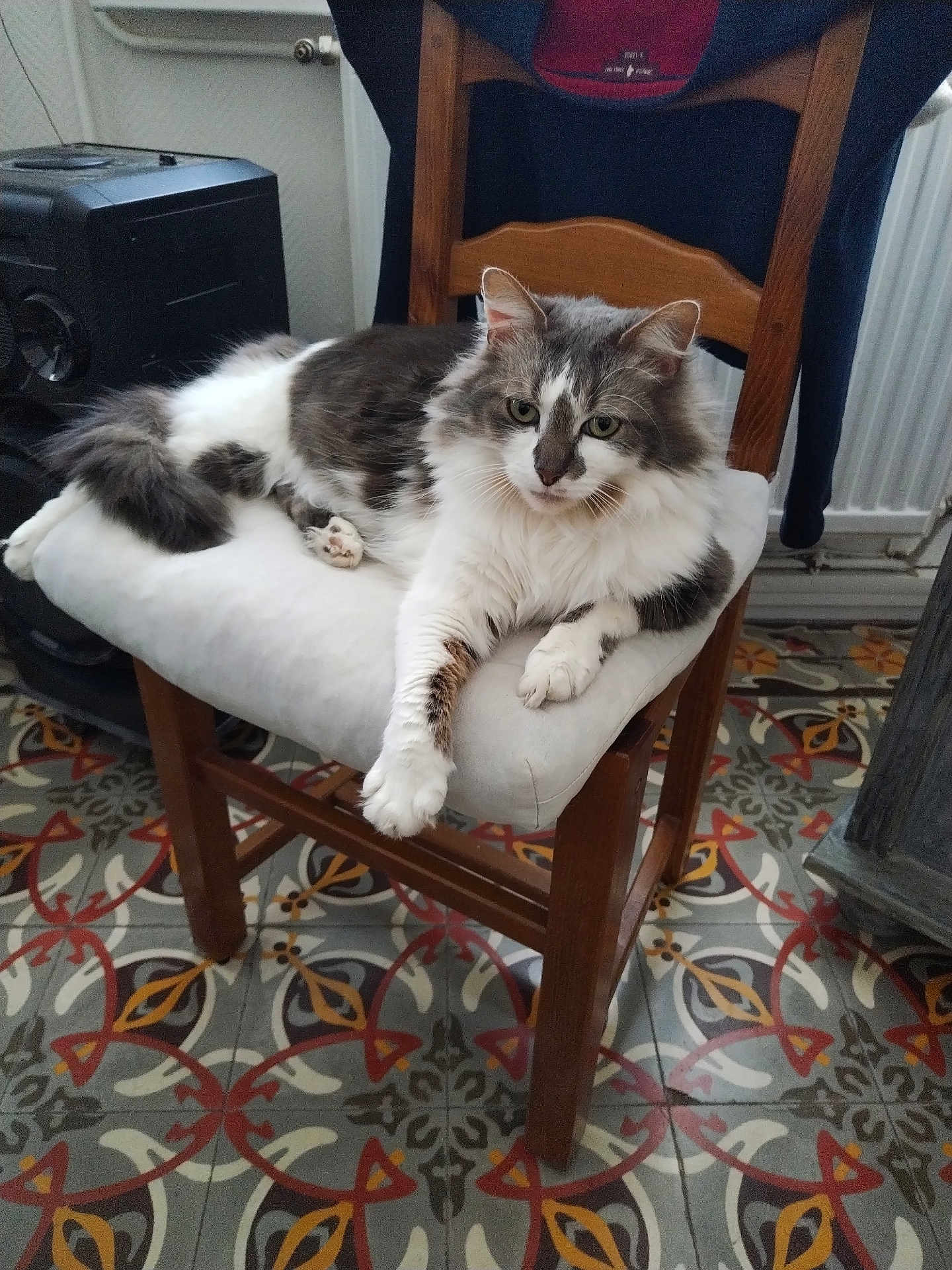 Oscar