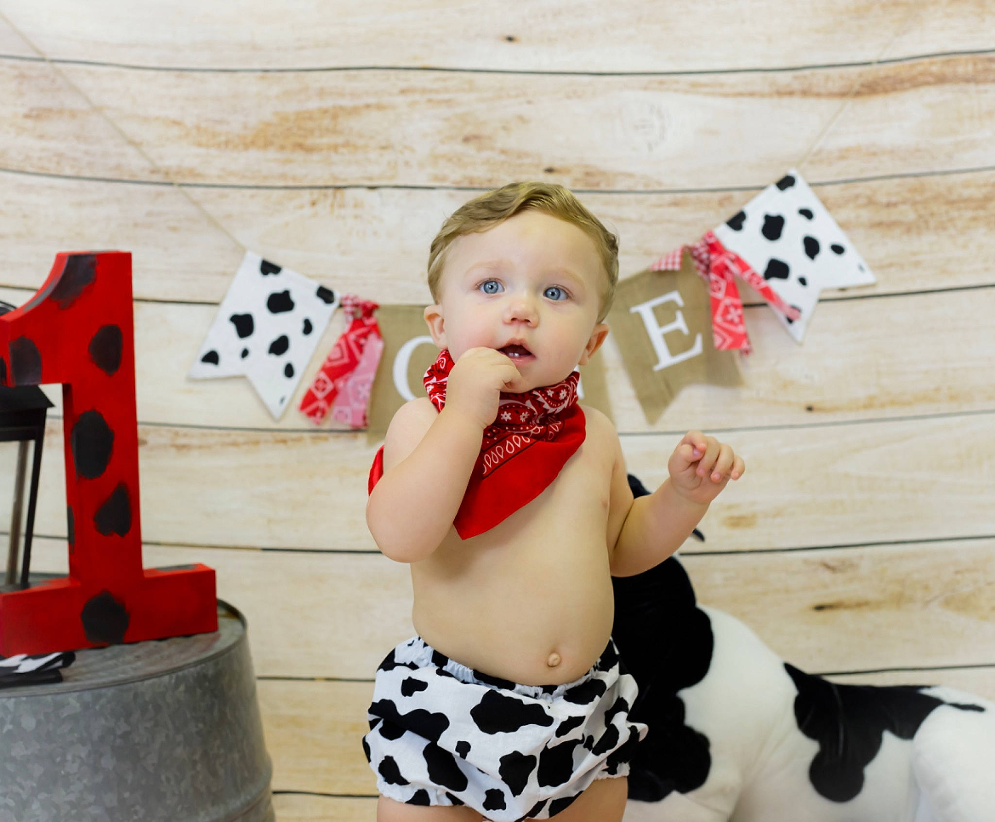 Kingston joined the competition — help win amazing prizes! abdomen, baby, baby_toddler_clothing, black, design, facial_expression, hairstyle, happy, human_leg, knee, mammal, pattern, person, sleeve, textile, thigh, toddler, trunk, vertebrate, waist