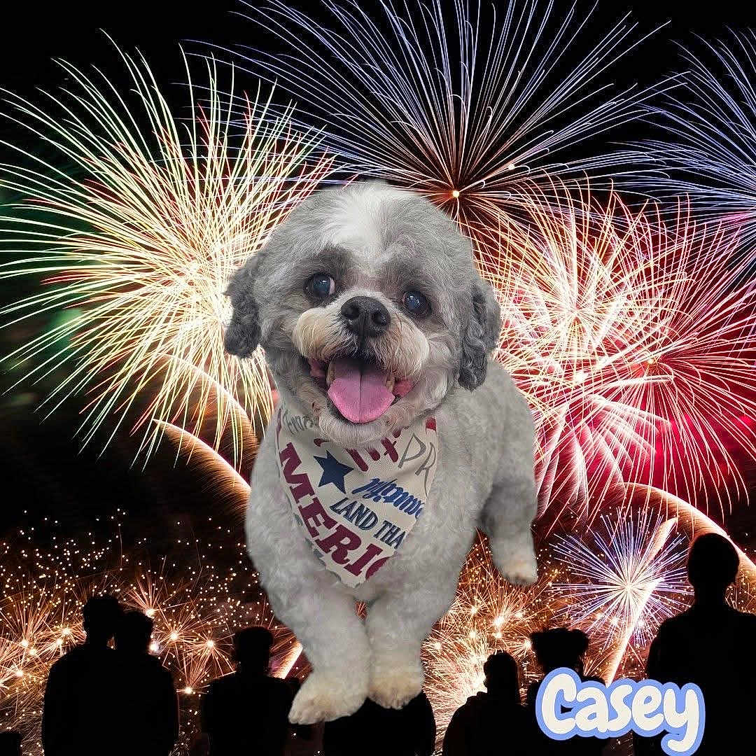 Casey