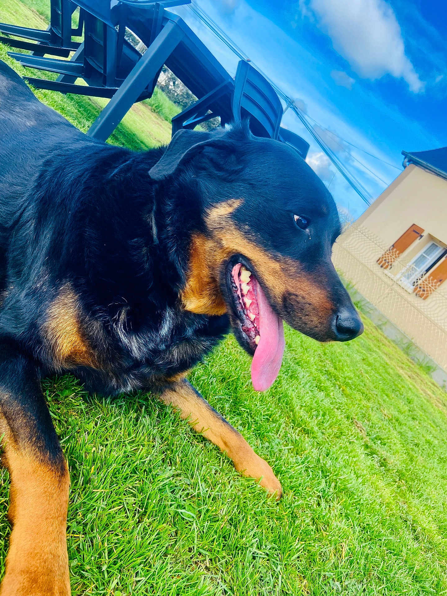 Odin