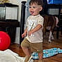 toddler, child, indoor, wooden_floor, nike, clothing, shoes, tongue_out, happy, dog, pet, blanket, red_ball, furniture, home, person, smiling, shorts, tshirt, playful