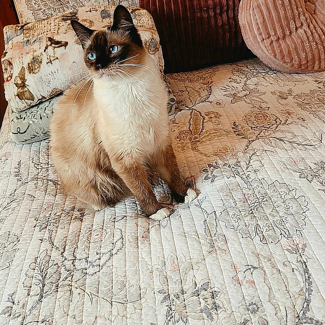 Sophie
