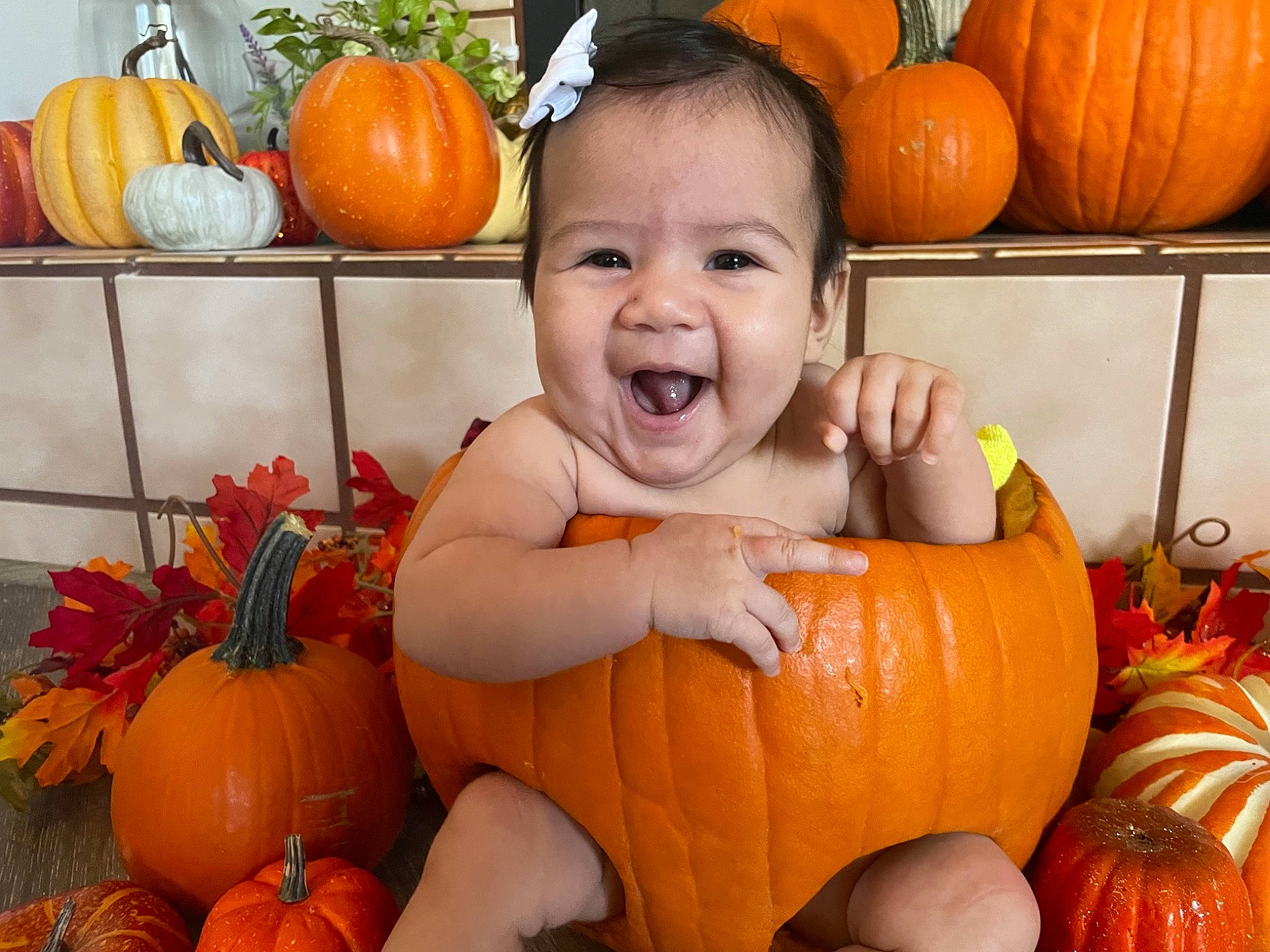 Elora is registered to the contest to win money with this photo: black, calabaza, cucurbita, eye, facial_expression, gourd, green, head, leaf, local_food, natural_foods, orange, organ, person, photograph, plant, pumpkin, smile, squash, whole_food