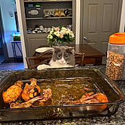 Kitty joined the competition — help win amazing prizes! animal, baking_dish, cabinet, cat, cat_treats, chair, chicken_drumsticks, counter, curious, door, flower_vase, flowers, food, gray_cat, indoor, kitchen, pet, shoes, table, white_cat