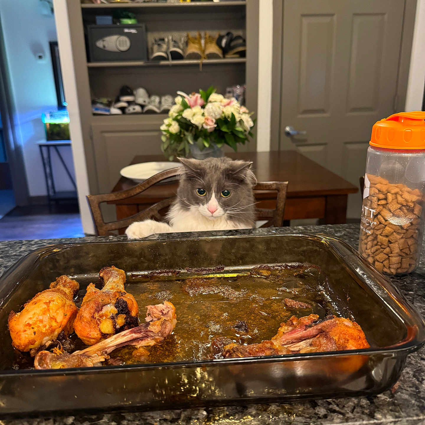 Kitty joined the competition — help win amazing prizes! animal, baking_dish, cabinet, cat, cat_treats, chair, chicken_drumsticks, counter, curious, door, flower_vase, flowers, food, gray_cat, indoor, kitchen, pet, shoes, table, white_cat