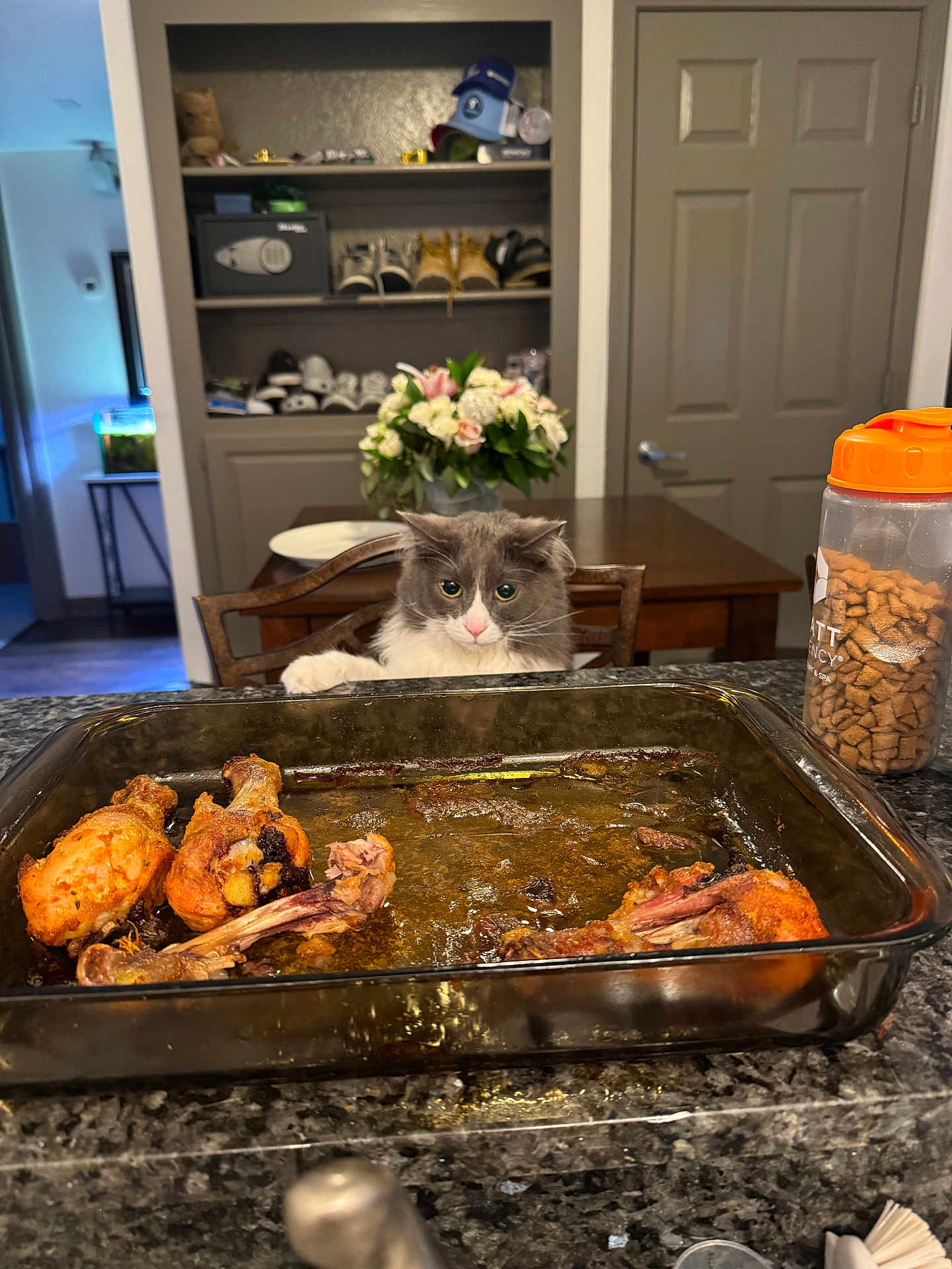 Kitty joined the competition — help win amazing prizes! animal, baking_dish, cabinet, cat, cat_treats, chair, chicken_drumsticks, counter, curious, door, flower_vase, flowers, food, gray_cat, indoor, kitchen, pet, shoes, table, white_cat