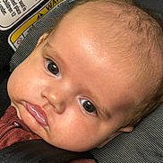 Millie joined the competition — help win amazing prizes! baby, infant, face, eyes, cheeks, car_seat, warning_label, clothing, skin, close_up, child, seatbelt, straps, young_child, head, portrait, expression, indoors, cute, infant_clothing
