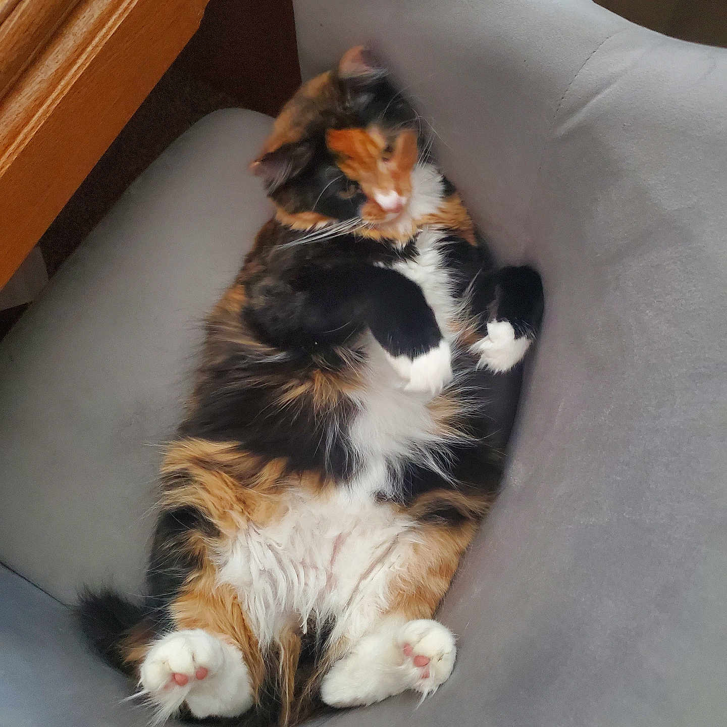 Etta Mae