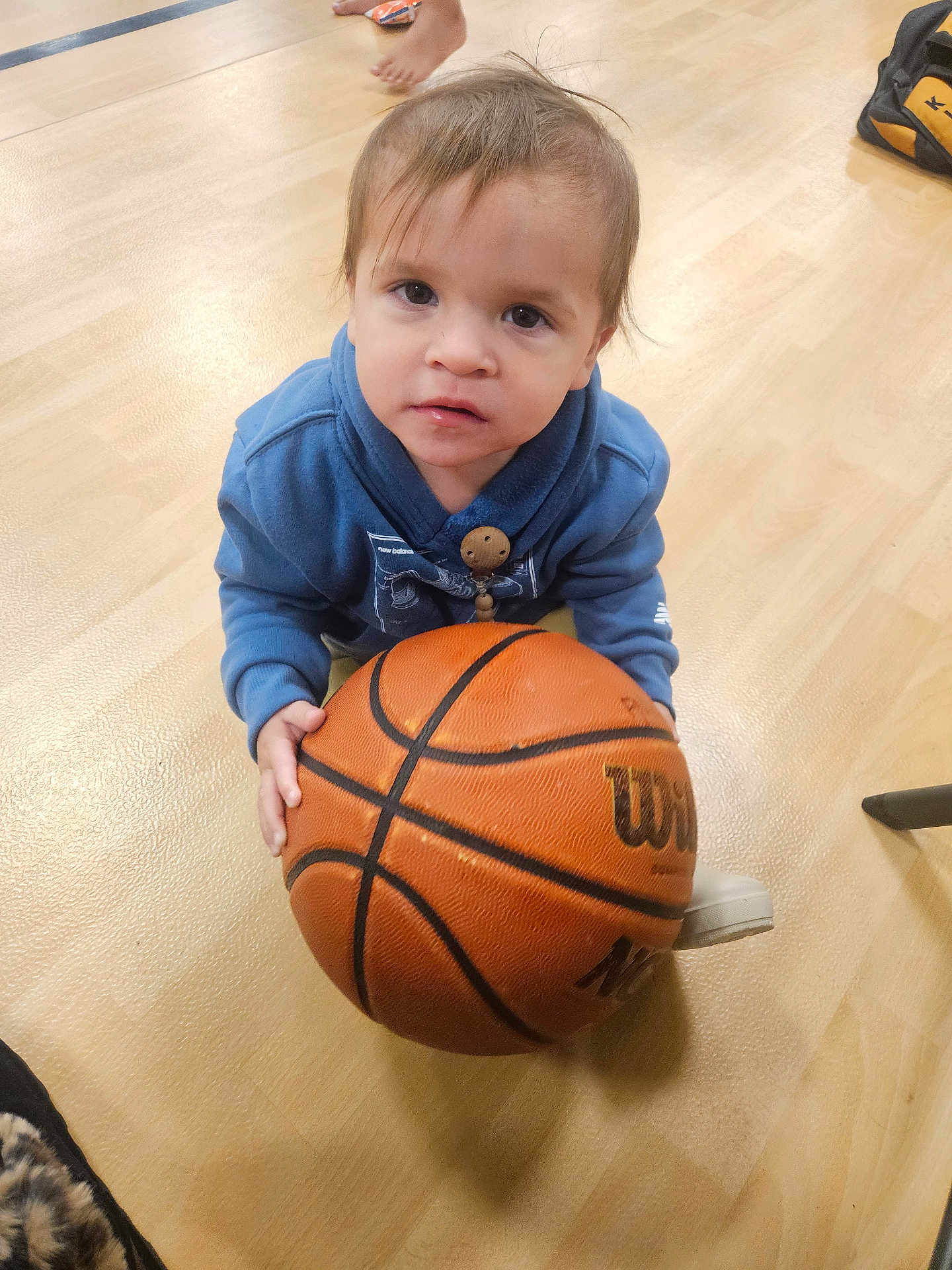 Ezra is registered to the contest to win money with this photo: toddler, child, basketball, blue_hoodie, wooden_floor, indoor, barefoot, bag, toy, floor, person, casual_clothing, young_child, curious_expression, sports_equipment, hand, foot, playing, candid, portrait