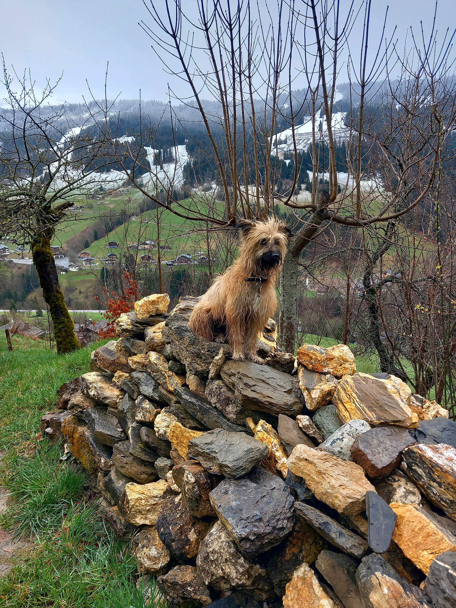 Uguette