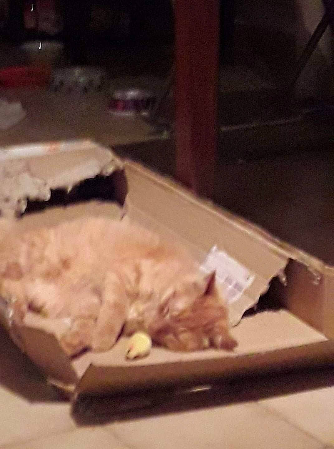 Pipo a rejoint le concours — aidez-le/la à gagner de superbes lots ! carnivore, cat, cloud, comfort, comfort_food, companion_dog, domestic_short_haired_cat, fawn, felidae, food, fur, hardwood, ingredient, nap, paw, small_to_medium_sized_cats, tableware, tail, whiskers, wood