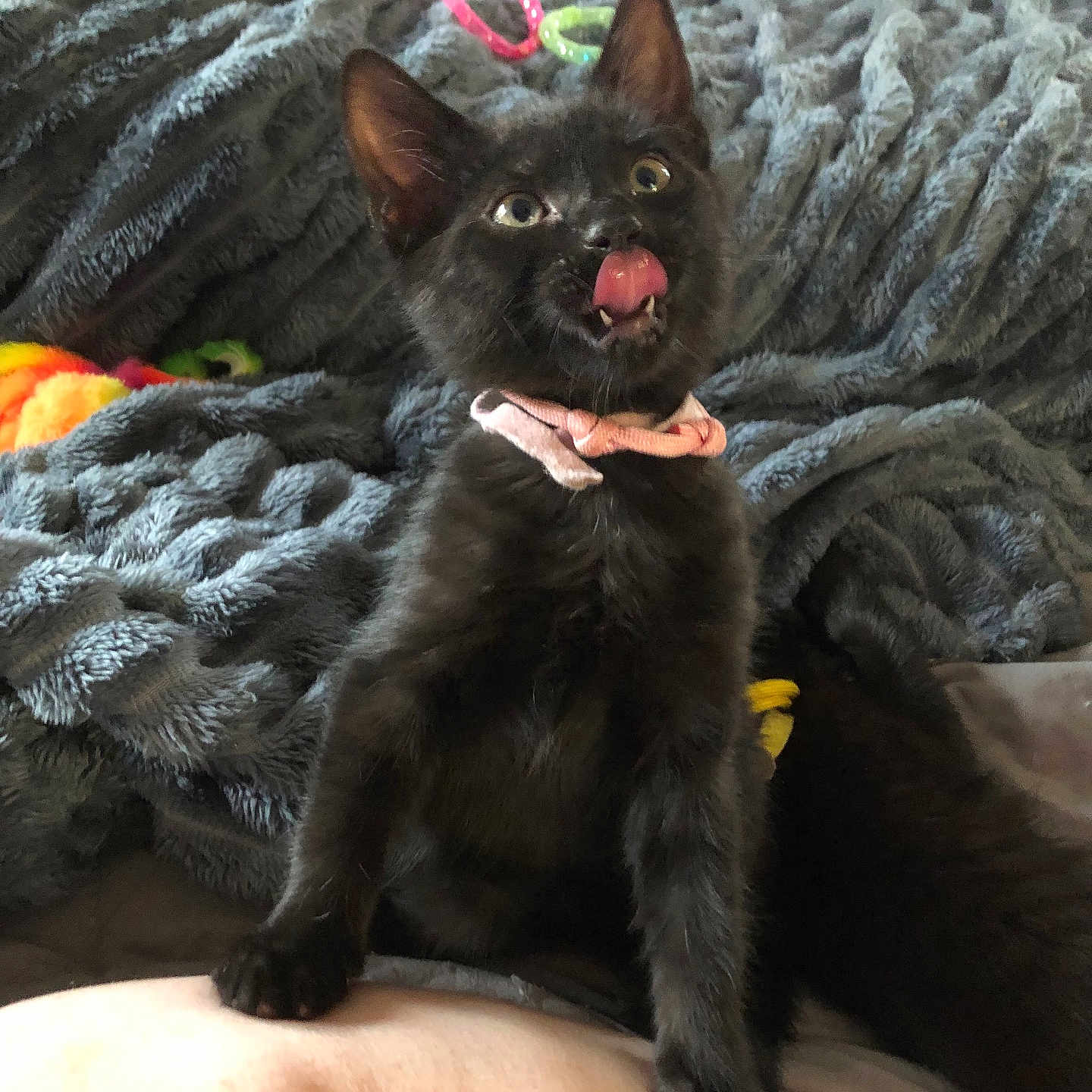 Nyxxlunabinxlilith