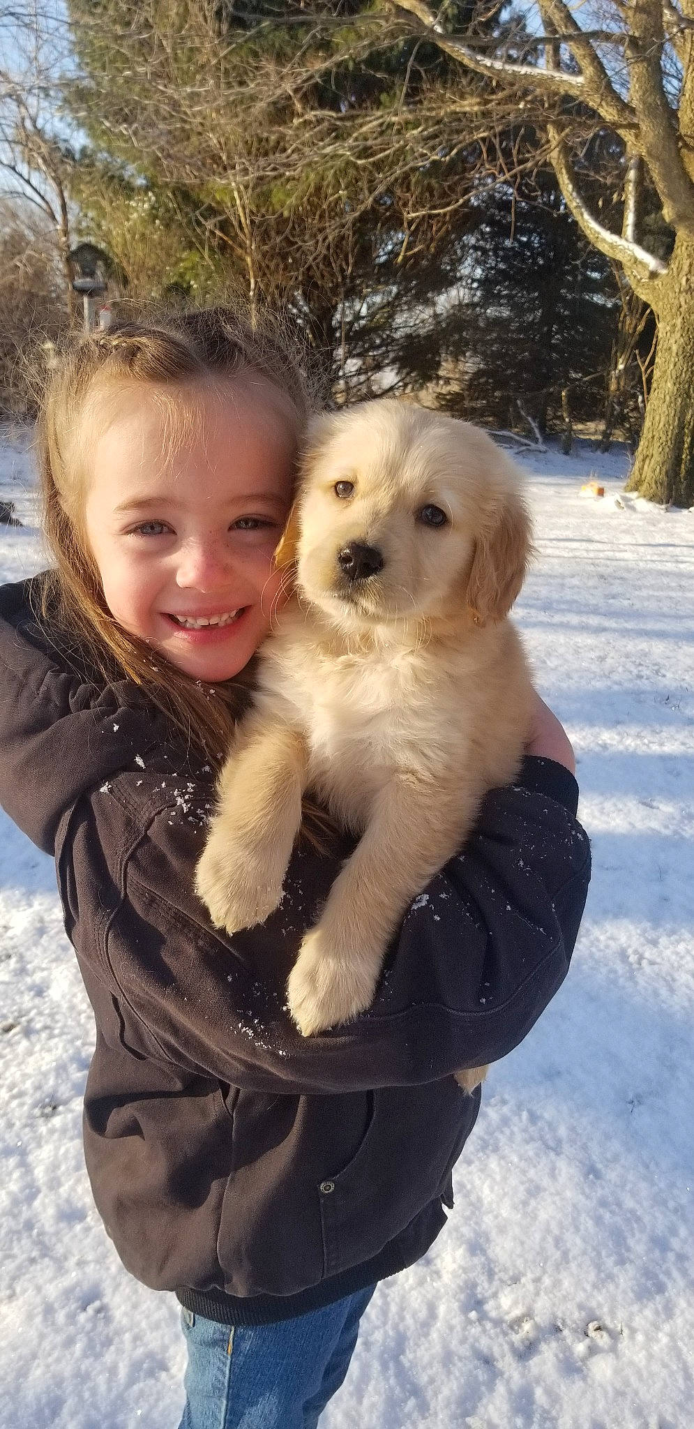 Adalie is registered to the contest to win money with this photo: canidae, carnivore, child, companion_dog, dog, dog_breed, fawn, golden_retriever, goldendoodle, joy, labradoodle, livestock_guardian_dog, mammal, maremma_sheepdog, person, polish_tatra_sheepdog, puppy, puppy_love, retriever, slovak_cuvac