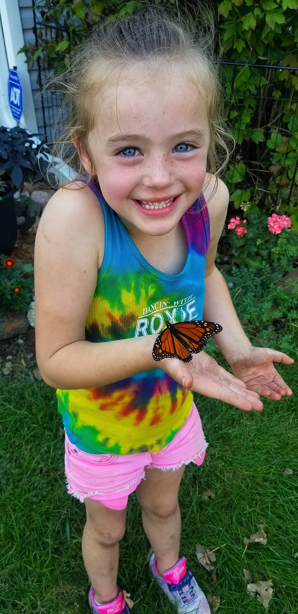Adalie joined the competition — help win amazing prizes! butterfly, child, emperor_moths, fawn, grass, insect, invertebrate, joy, monarch_butterfly, moths_and_butterflies, person, play, pollinator, smile, summer, toddler