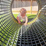 Emerson joined the competition — help win amazing prizes! toddler, child, playground, tunnel, outdoor, grass, sunlight, shadow, fence, wood, pattern, grid, crawling, baby, daylight, exploration, summer, fun, play, curious