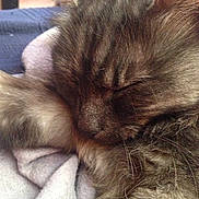 Vanille participe au concours pour gagner de l'argent avec cette photo :