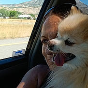Peek-At-chu joined the competition — help win amazing prizes! woman, dog, pomeranian, car, window, mountain, landscape, sunlight, tattoo, tongue_out, pet, travel, road, nature, portrait, happy, fur, side_view, human, vehicle