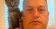Dennis The Menace is registered to the contest to win money with this photo: man, person, cat, kitten, gray_cat, selfie, portrait, indoor, window, blinds, shoulder, pet, animal, face, short_hair, tank_top, necklace, earring, warm_lighting, close_up