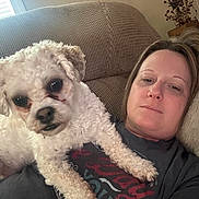 Teddy joined the competition — help win amazing prizes! dog, person, curly_fur, white_dog, pet, companion, selfie, portrait, couch, living_room, indoors, relaxing, sitting, lying_down, fluffy, small_dog, woman, face, home, cozy