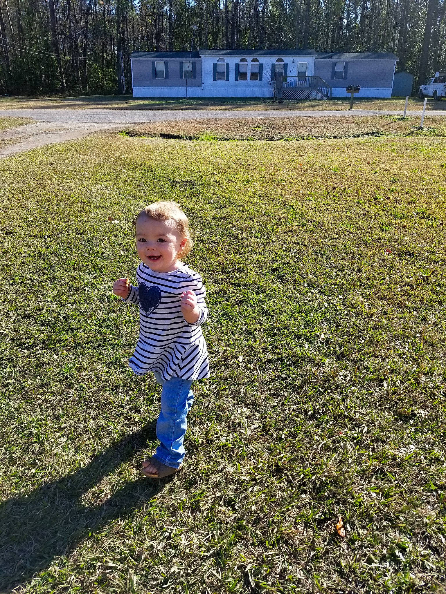 Carolyn is registered to the contest to win money with this photo: child, fun, grass, grass_family, joy, lawn, leaf, meadow, mountain, person, plant, play, sky, spring, toddler, tree, vacation