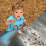 Matias participe au concours pour gagner de l'argent avec cette photo : activity, blue_shirt, casual_clothing, child, curious, daylight, exploration, fun, kid, metal_slide, nature, outdoor, park, person, playground, smiling, stick, toddler, wood_chips, young_child