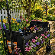 Koko joined the competition — help win amazing prizes! cat, black_cat, wagon, flowers, garden, picket_fence, sunlight, yellow_eyes, black_wagon, pink_flowers, purple_flowers, white_flowers, greenery, pathway, outdoor, spring, nature, pet, plant, bottle