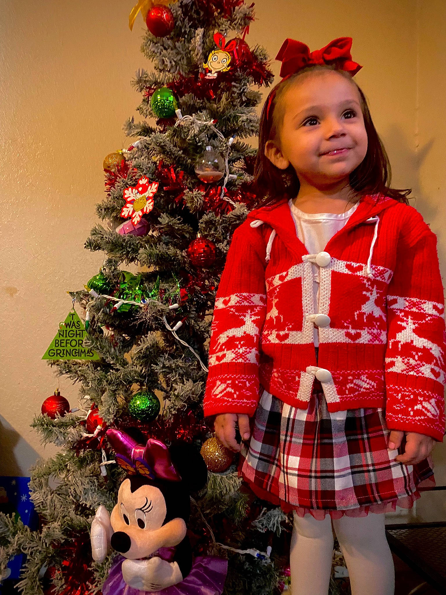 Ryleighe is registered to the contest to win money with this photo: christmas_decoration, christmas_ornament, christmas_tree, event, facial_expression, hair, happy, head, holiday_ornament, human_body, joy, person, photograph, plaid, plant, red, sleeve, smile, standing, tartan