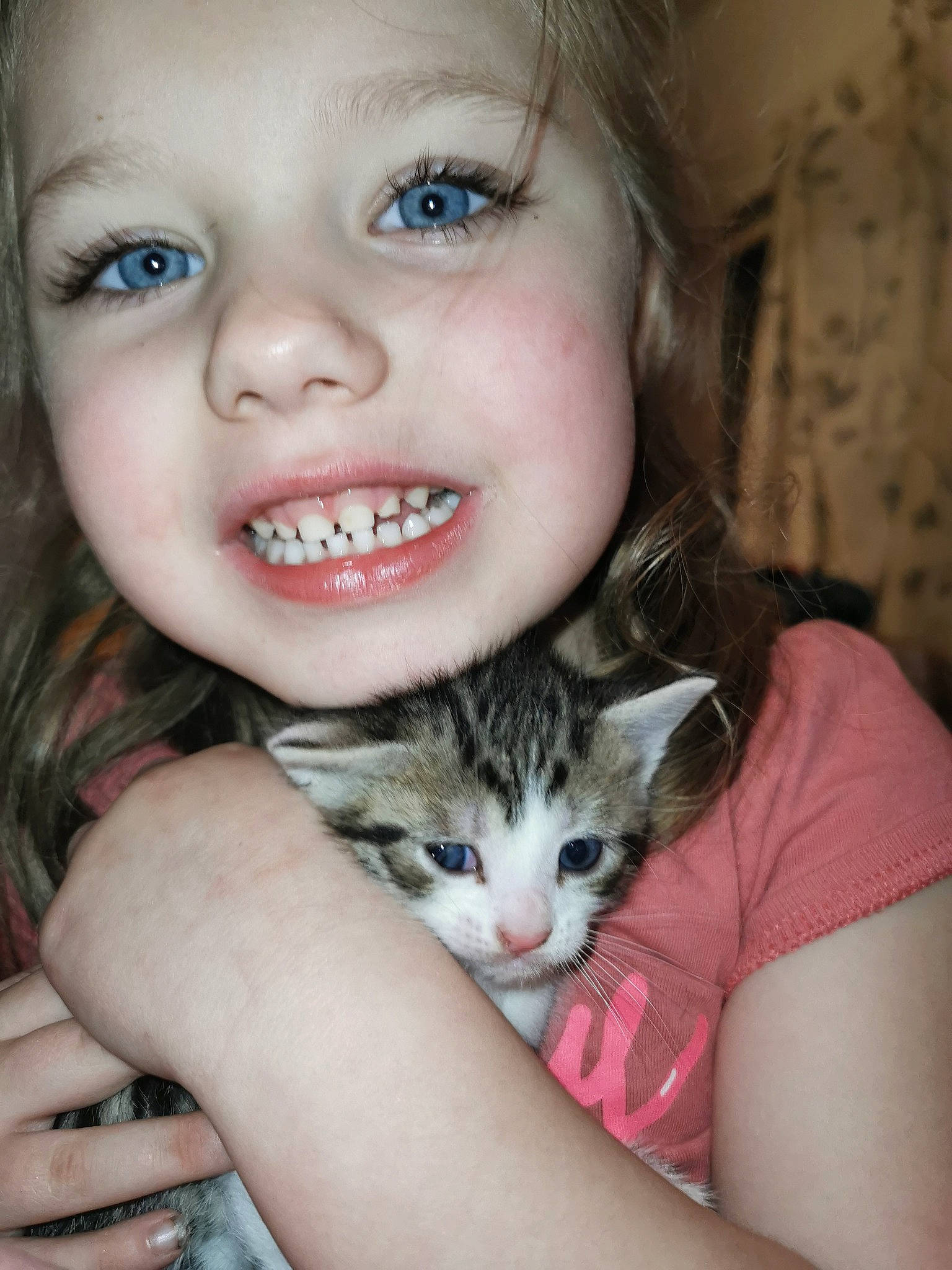 Elya participe au concours pour gagner de l'argent avec cette photo : carnivore, cat, cheek, ear, eyebrow, eyelash, fawn, felidae, finger, happy, headwear, iris, jaw, joy, nail, nose, organ, person, plant, skin