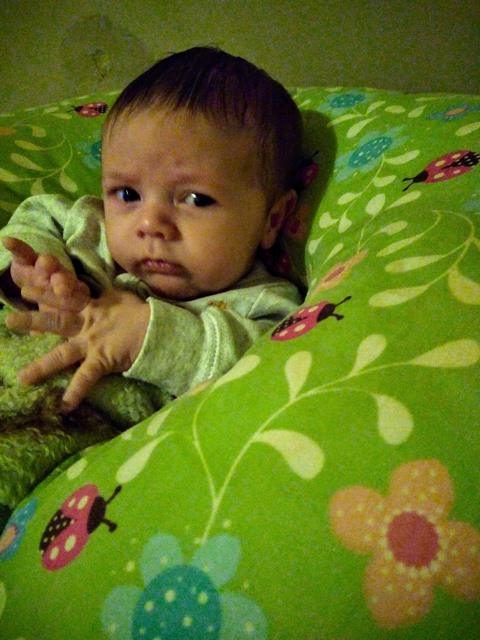 William joined the competition — help win amazing prizes! adaptation, baby, cheek, child, grass, green, head, leaf, person, plant, skin, textile, toddler