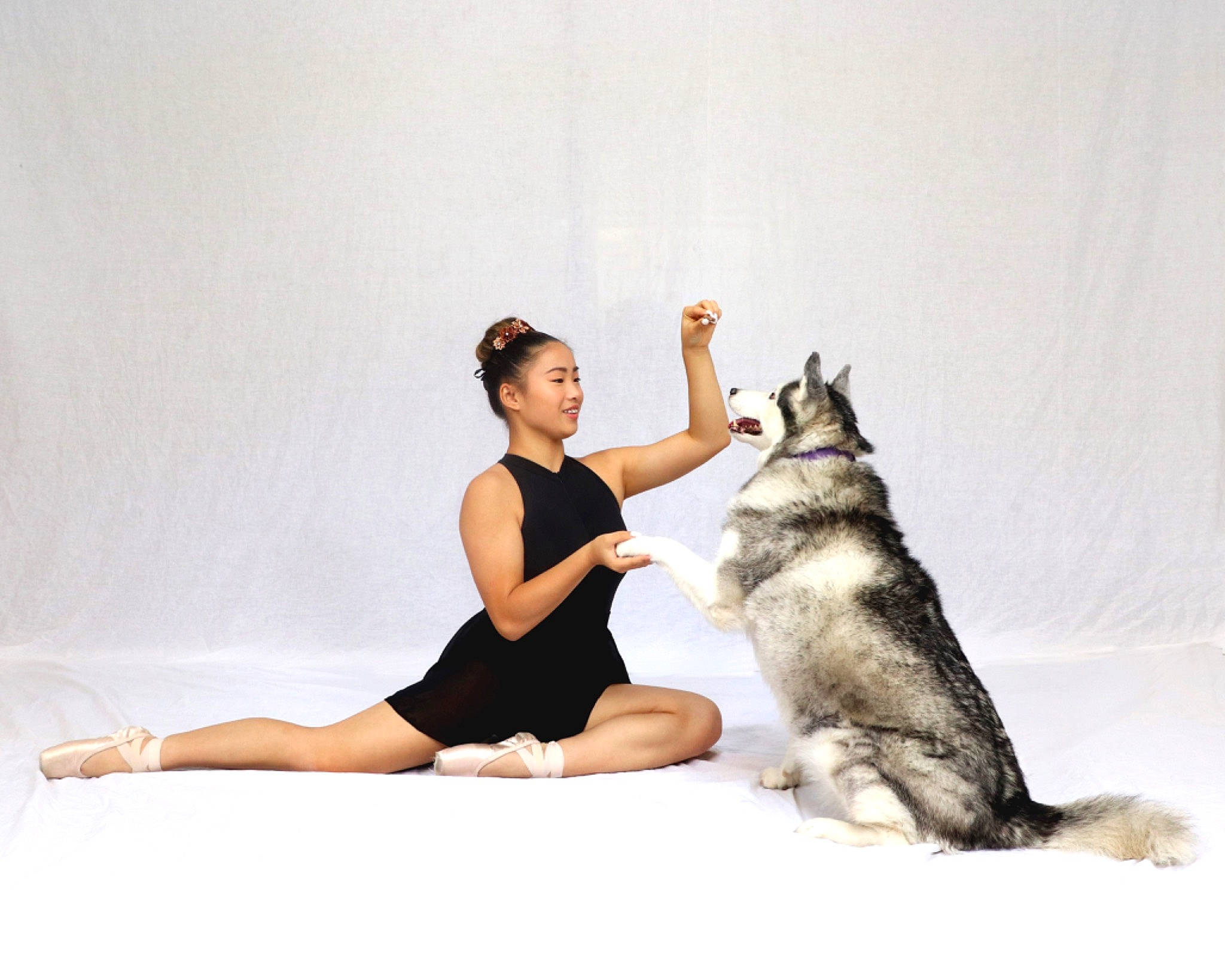 Samie joined the competition — help win amazing prizes! barefoot, carnivore, comfort, companion_dog, dog, dog_breed, felidae, flash_photography, foot, fur, grey, happy, human_leg, knee, paw, sitting, small_to_medium_sized_cats, tail, thigh, whiskers