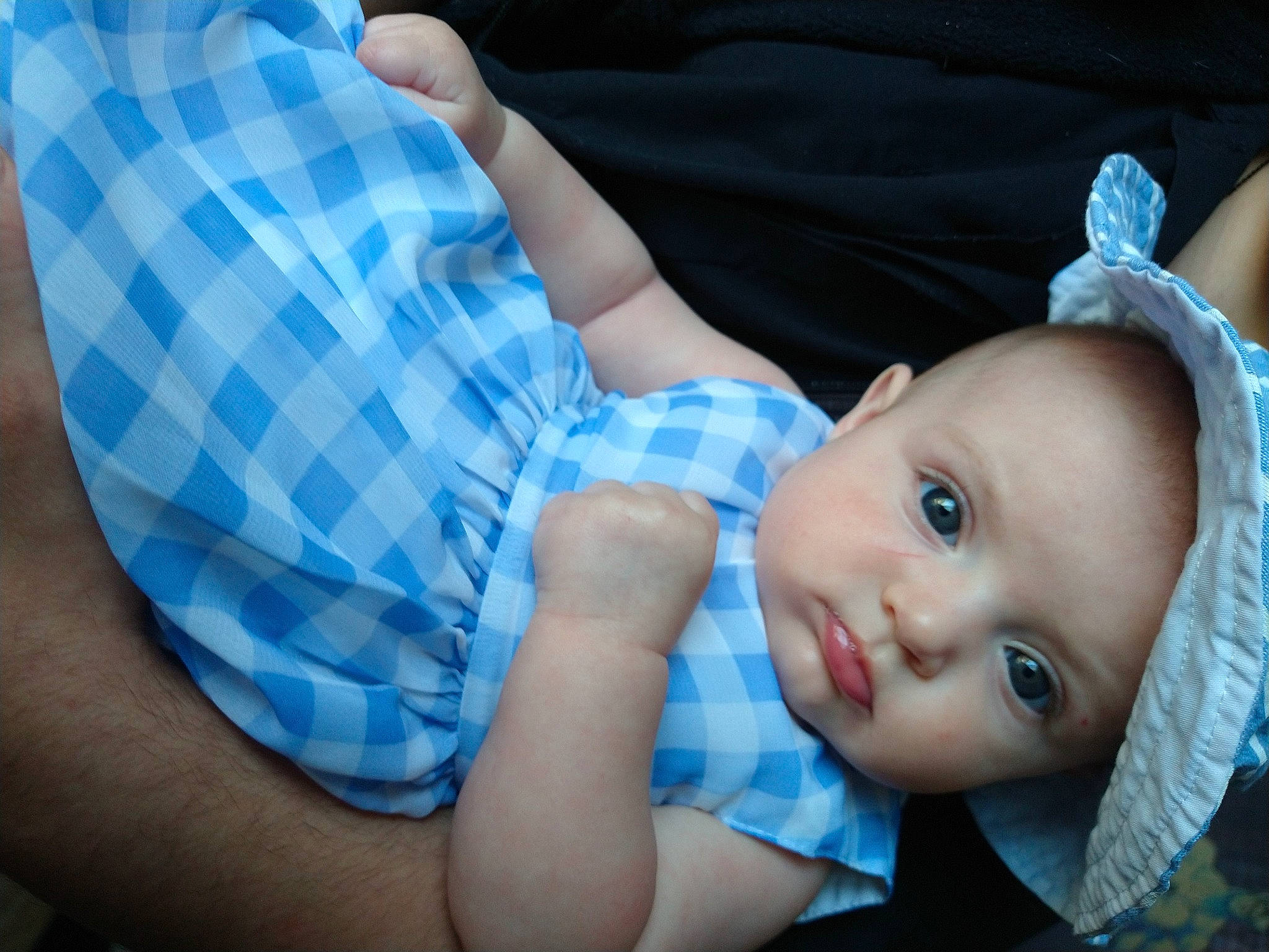 Zelda is registered to the contest to win money with this photo: azure, baby, baby_toddler_clothing, child, comfort, doll, electric_blue, flash_photography, grass, happy, human_body, linens, pattern, person, plaid, sitting, skin, sleeve, tartan, textile