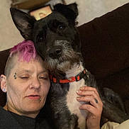 Hennessy joined the competition — help win amazing prizes! blanket, collar, companion, couch, dog, earrings, expression, eye, face, fur, hand, indoor, nose, person, pet, pink_hair, portrait, relaxing, snuggling, tattoo