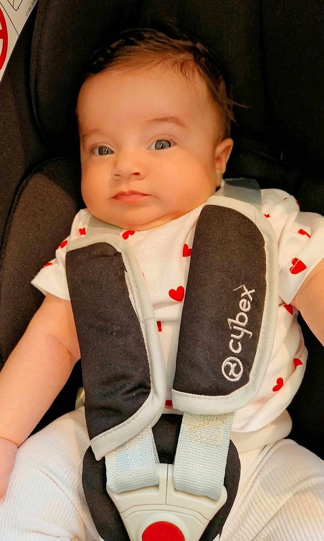 ëlyah participe au concours pour gagner de l'argent avec cette photo : baby, baby_clothes, car_seat, child, clothing, cute, eyes, face, head, indoors, infant, person, portrait, red_hearts, safety, seat, seatbelt, straps, white, young_child