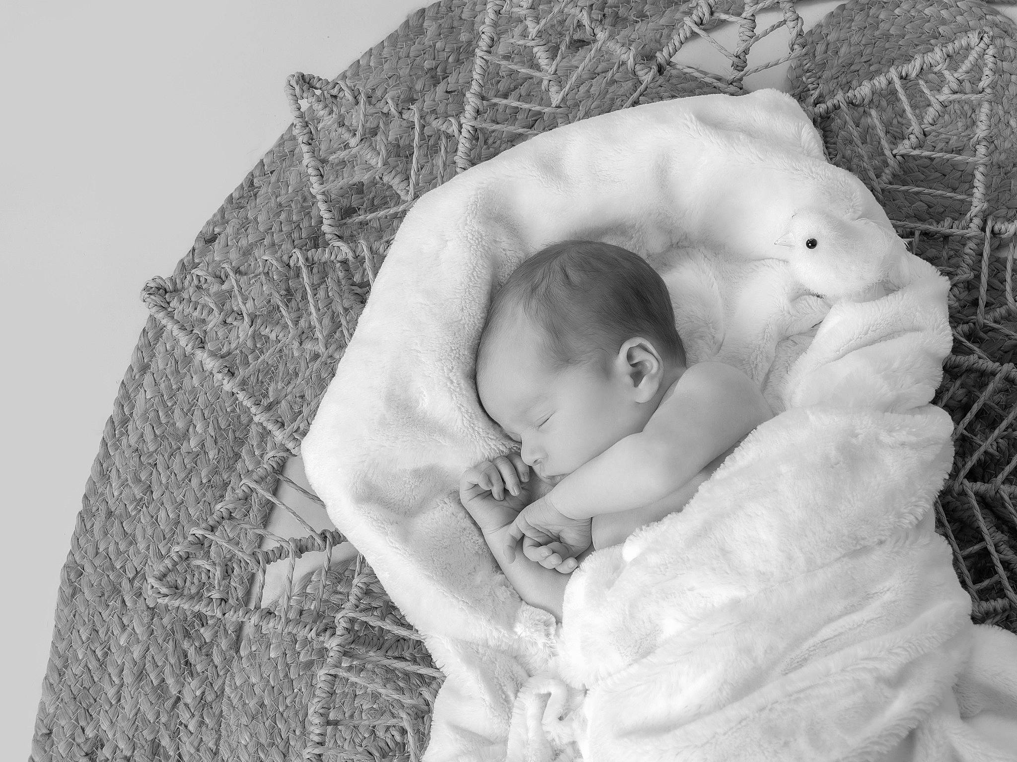 Thymao participe au concours pour gagner de l'argent avec cette photo : baby, baby_products, baby_safety, baby_sleeping, bedding, bedtime, child, comfort, cradle, grass, happy, infant_bed, linens, monochrome, monochrome_photography, person, product, room, skin, textile
