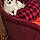 Izzy