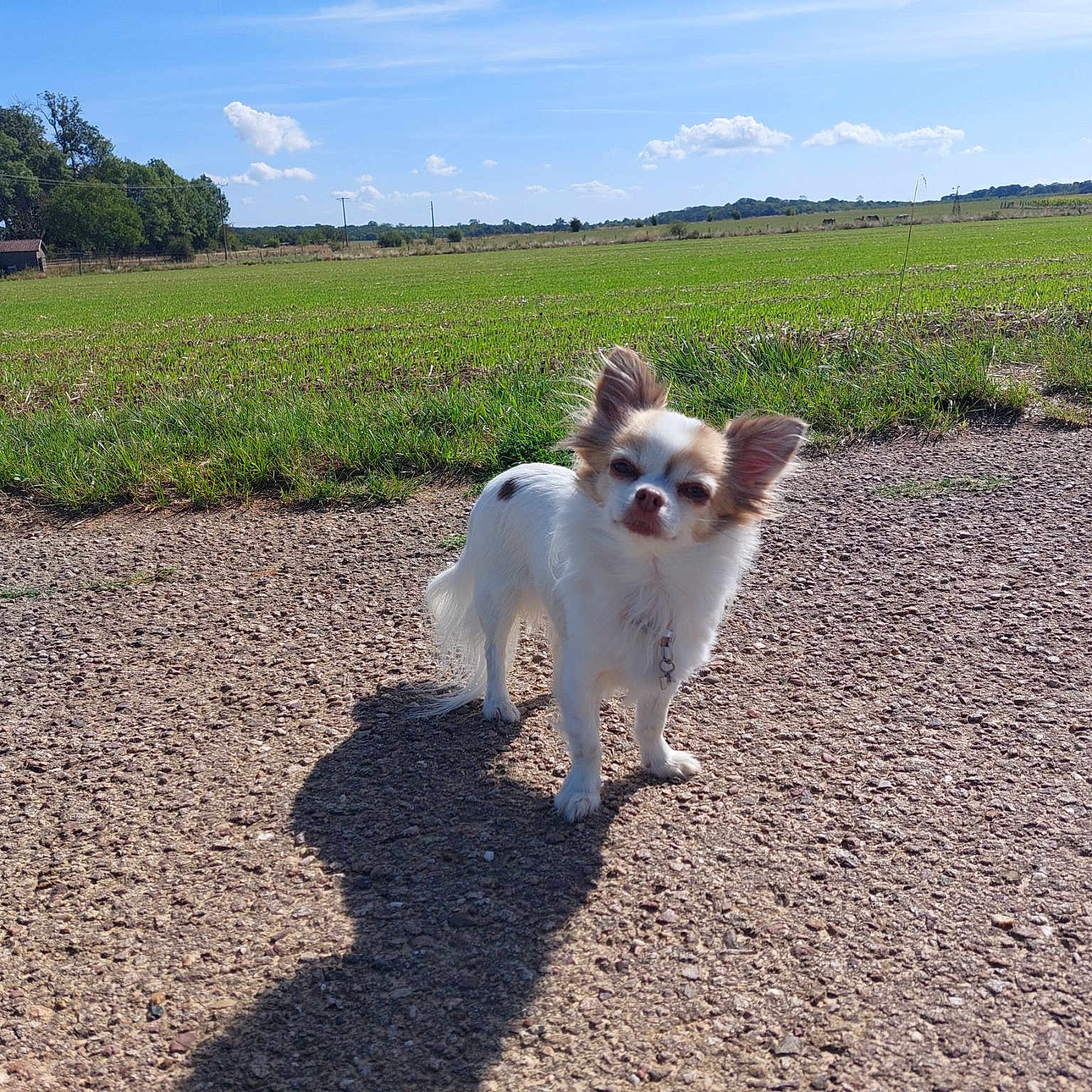 Mokita