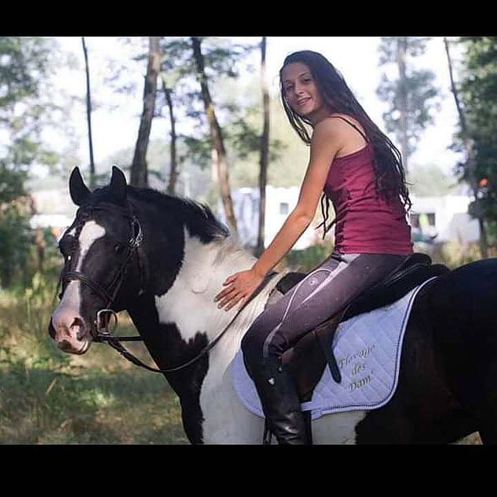 Arc En Ciel a rejoint le concours — aidez-le/la à gagner de superbes lots ! animal_sports, bridle, cool, equestrianism, equitation, fun, halter, horse, horse_supplies, horse_tack, horse_trainer, mammal, mane, mare, photography, recreation, rein, riding_instructor, saddle, stallion