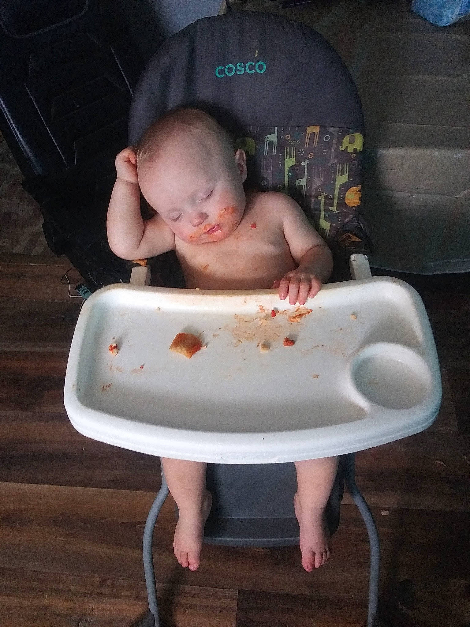 Alexander is registered to the contest to win money with this photo: baby, baby_bathing, baby_products, bathing, bathroom, black, blue, comfort, flooring, head, human_leg, leg, person, plumbing, plumbing_fixture, product, thigh, toddler, toilet, toilet_seat