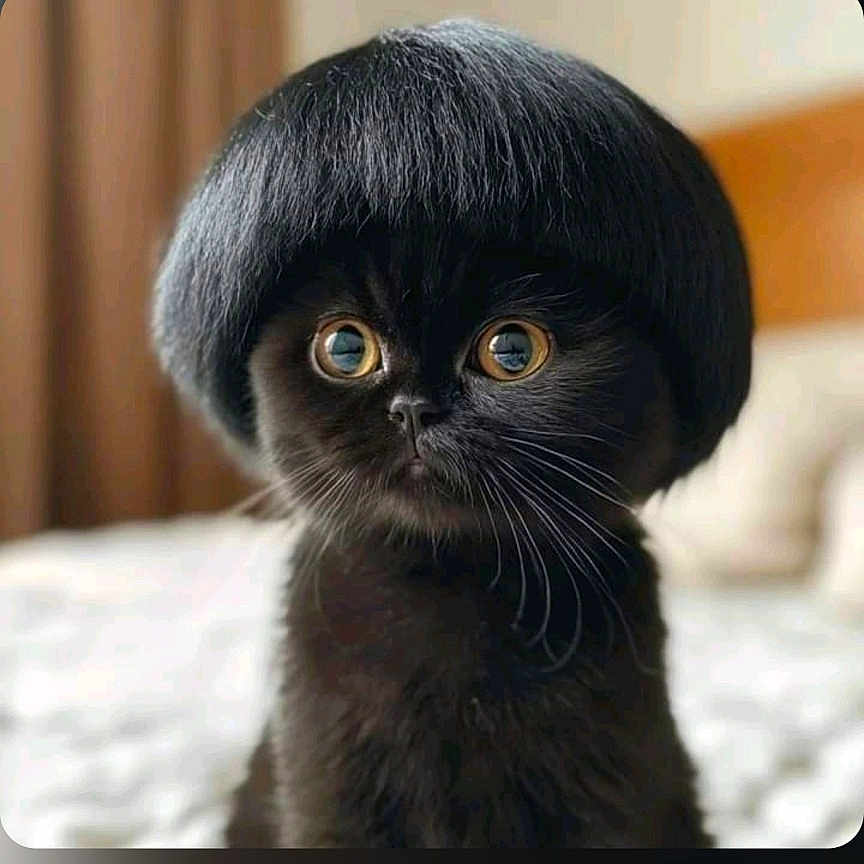 Kiki