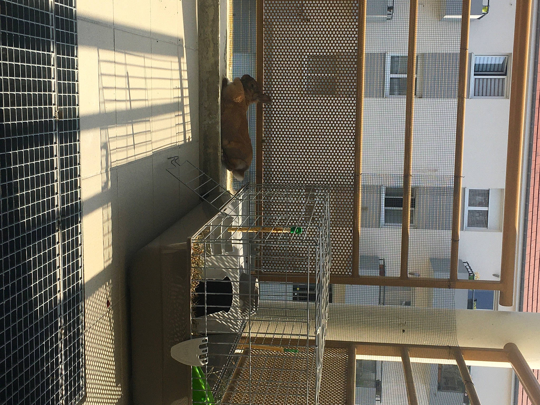 Pépite participe au concours pour gagner de l'argent avec cette photo : apartment, architecture, building, cage, condominium, door, facade, glass, home, house, interior_design, mesh, metal, property, real_estate, room, urban_area, window, window_screen