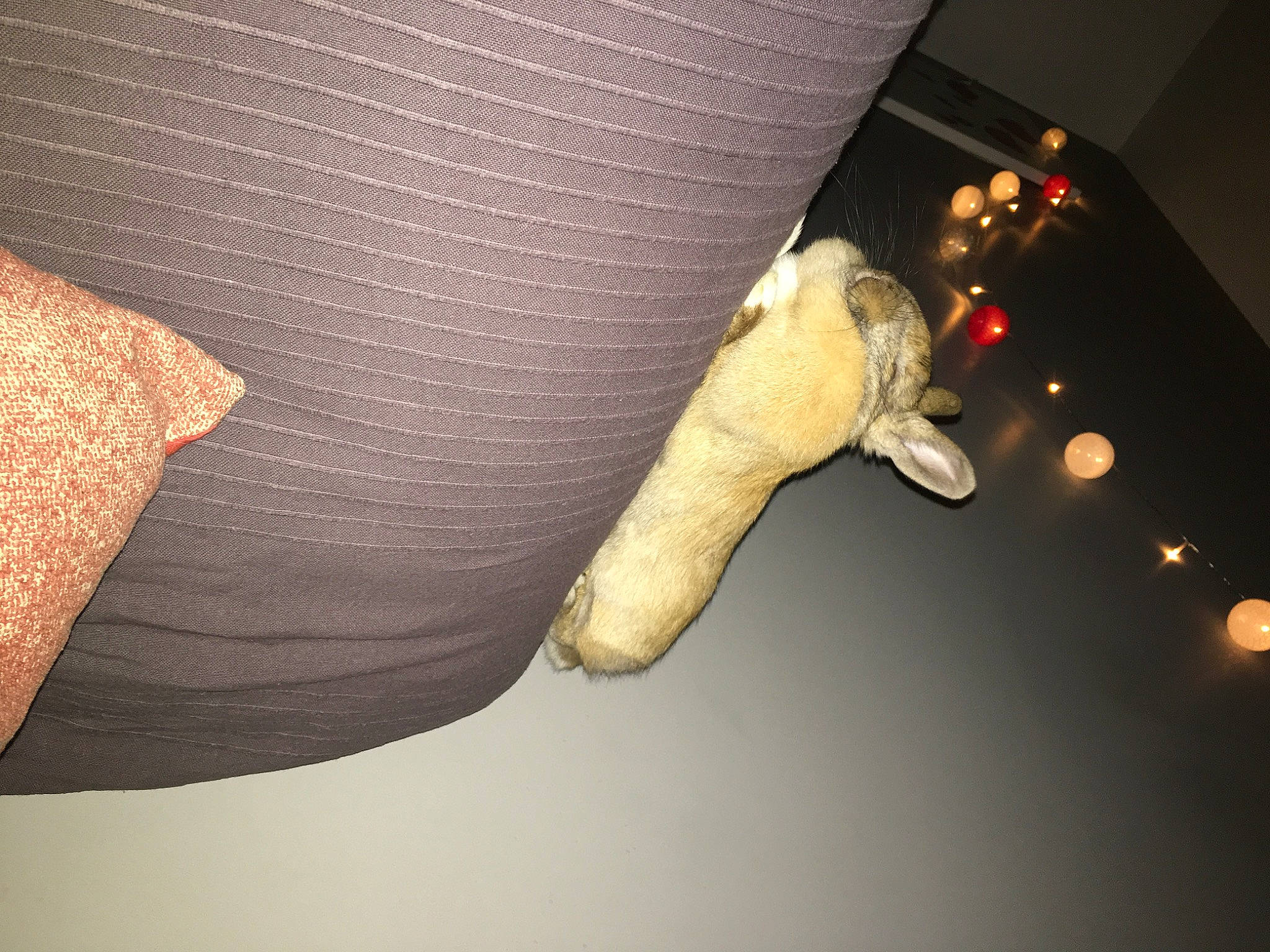 Pépite participe au concours pour gagner de l'argent avec cette photo : ceiling, hand, joint, leg, room, shoe, tail, textile