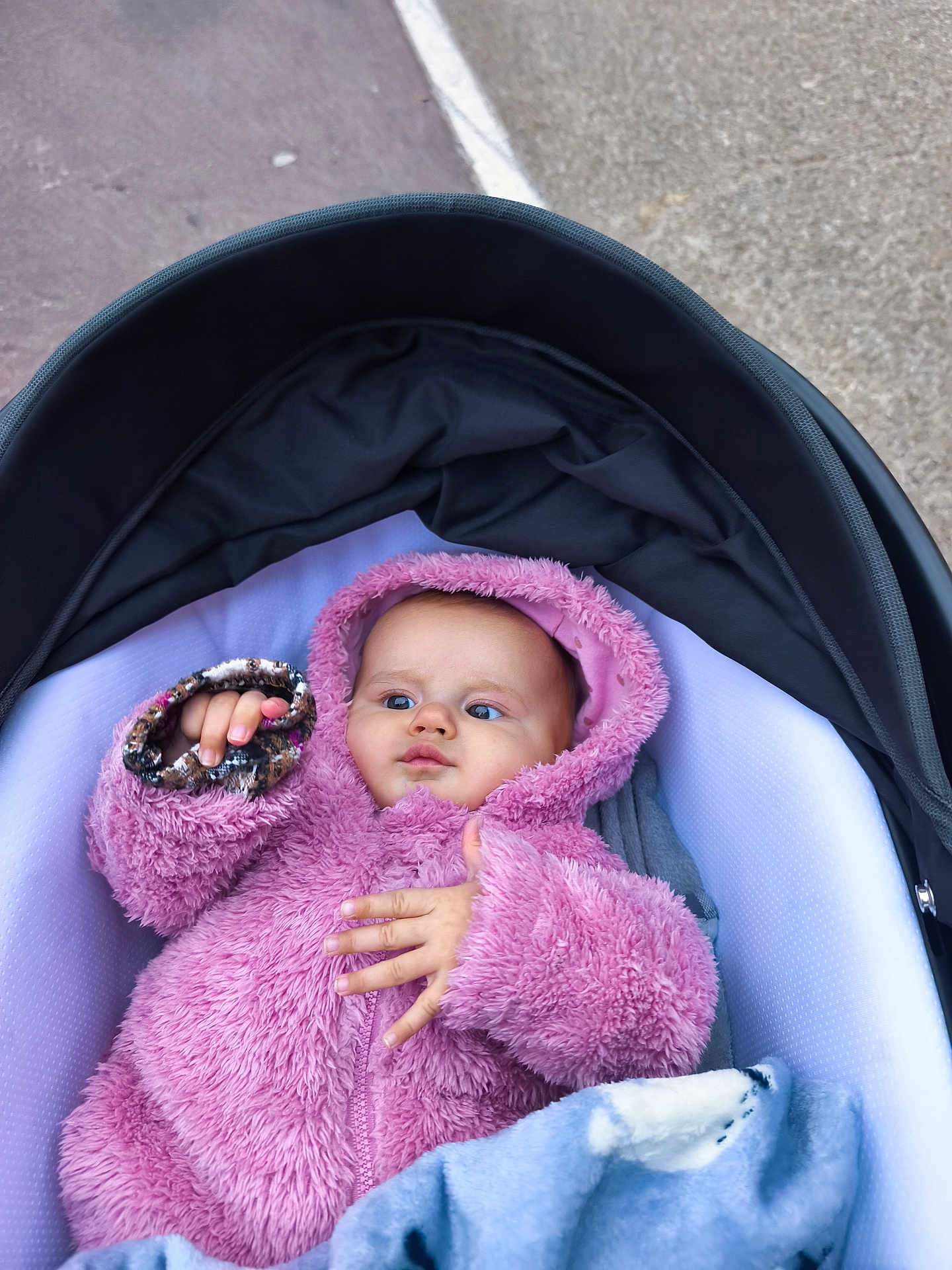 Selena participe au concours pour gagner de l'argent avec cette photo : baby, child, stroller, pink_jacket, hood, blanket, outdoor, curious, infant, clothing, cold_weather, cute, young, person, portrait, hand, face, cozy, baby_clothes, baby_accessory