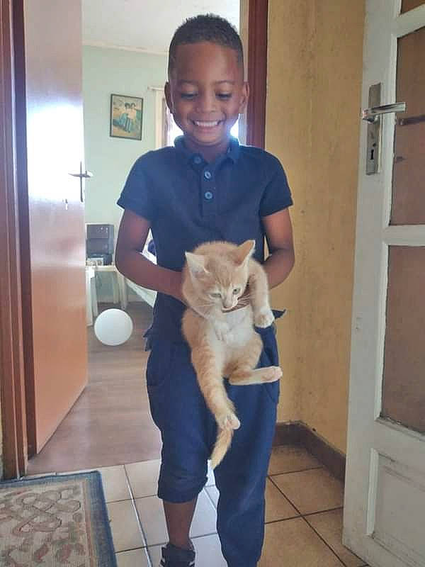 Garou participe au concours pour gagner de l'argent avec cette photo : akita_inu, canidae, carnivore, cat, dog_breed, fawn, felidae, leg, small_to_medium_sized_cats, standing