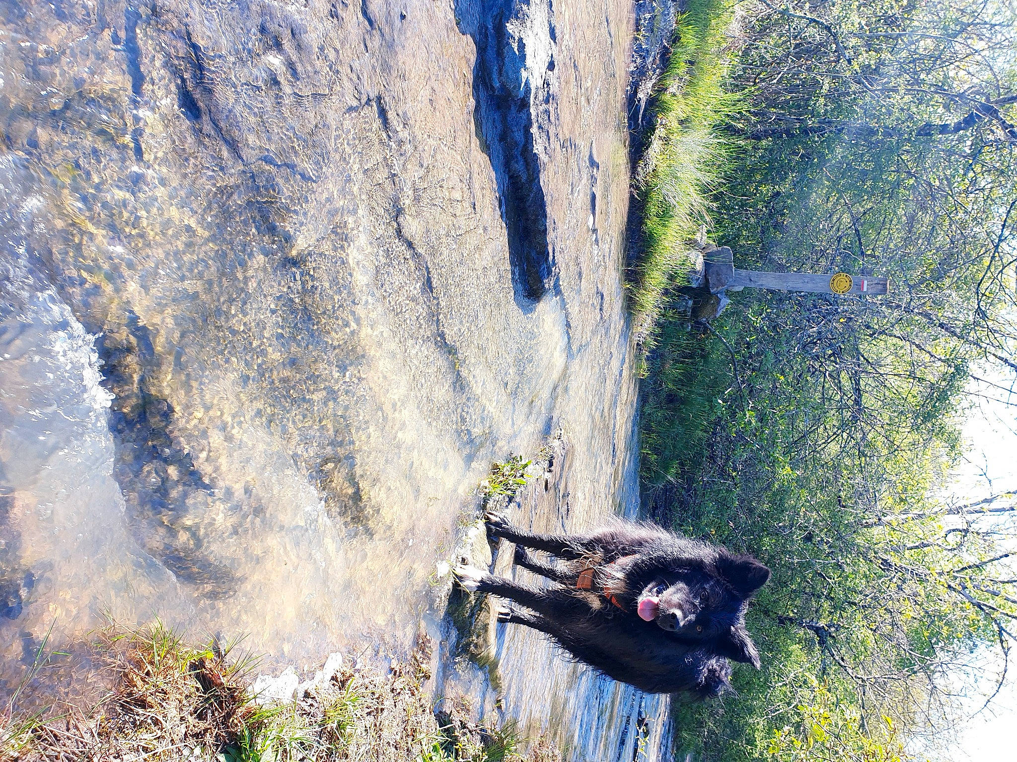 Noctis participe au concours pour gagner de l'argent avec cette photo : adventure, bedrock, forest, geological_phenomenon, grass, landscape, leisure, nature_reserve, plant, recreation, sky, slope, sport_climbing, terrain, tire, tree, trunk, watercourse, wheel, wood