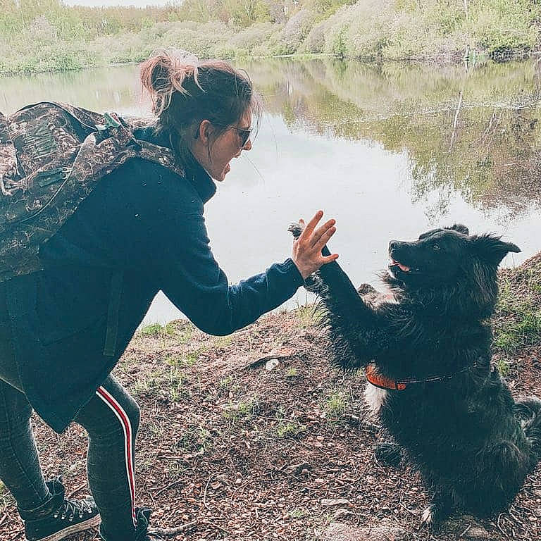 Noctis participe au concours pour gagner de l'argent avec cette photo : carnivore, companion_dog, dog, dog_breed, fun, gesture, grass, grassland, happy, interaction, lake, landscape, people_in_nature, soil, spring, sunglasses, walking, water, wetland, wilderness