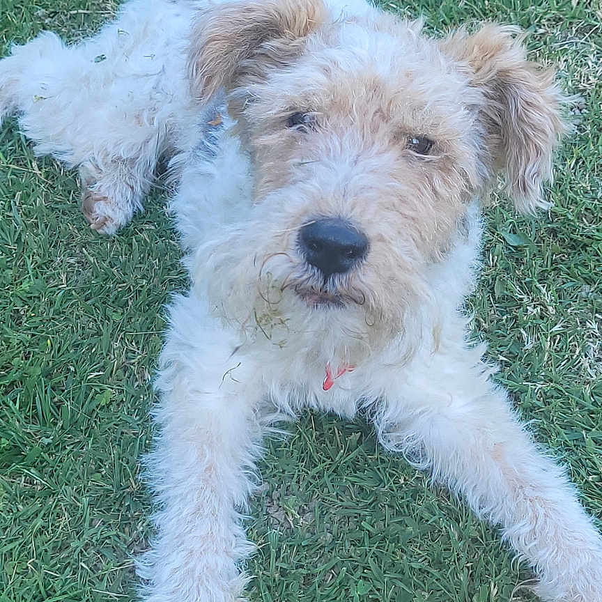 Bill