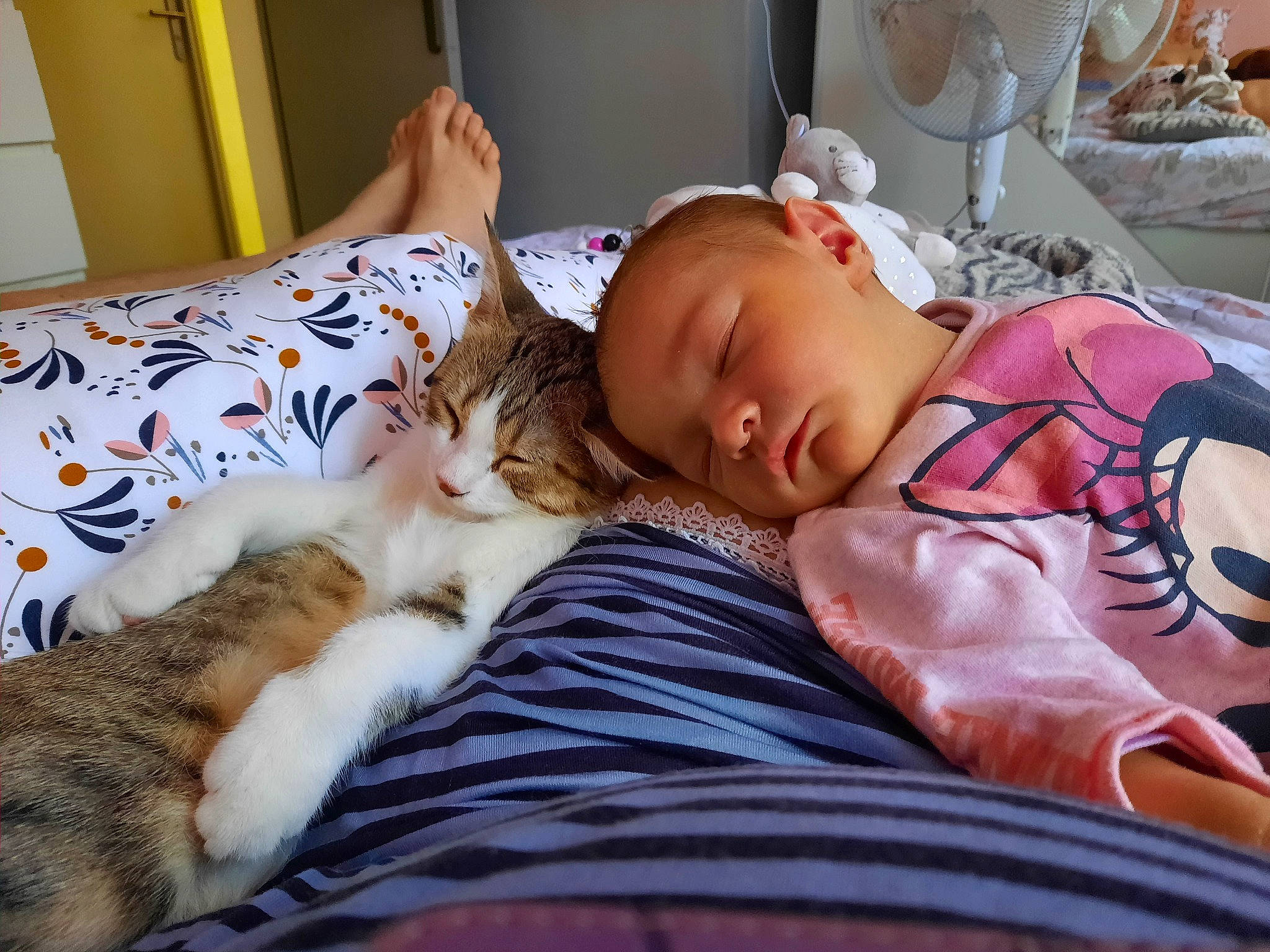 Léxa participe au concours pour gagner de l'argent avec cette photo : baby, bed, bed_sheet, bedding, bedtime, carnivore, cat, child, comfort, domestic_short_haired_cat, felidae, fur, linens, nap, person, room, sleep, small_to_medium_sized_cats, textile, toddler